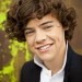 one-direction-style-harry-styles (1)